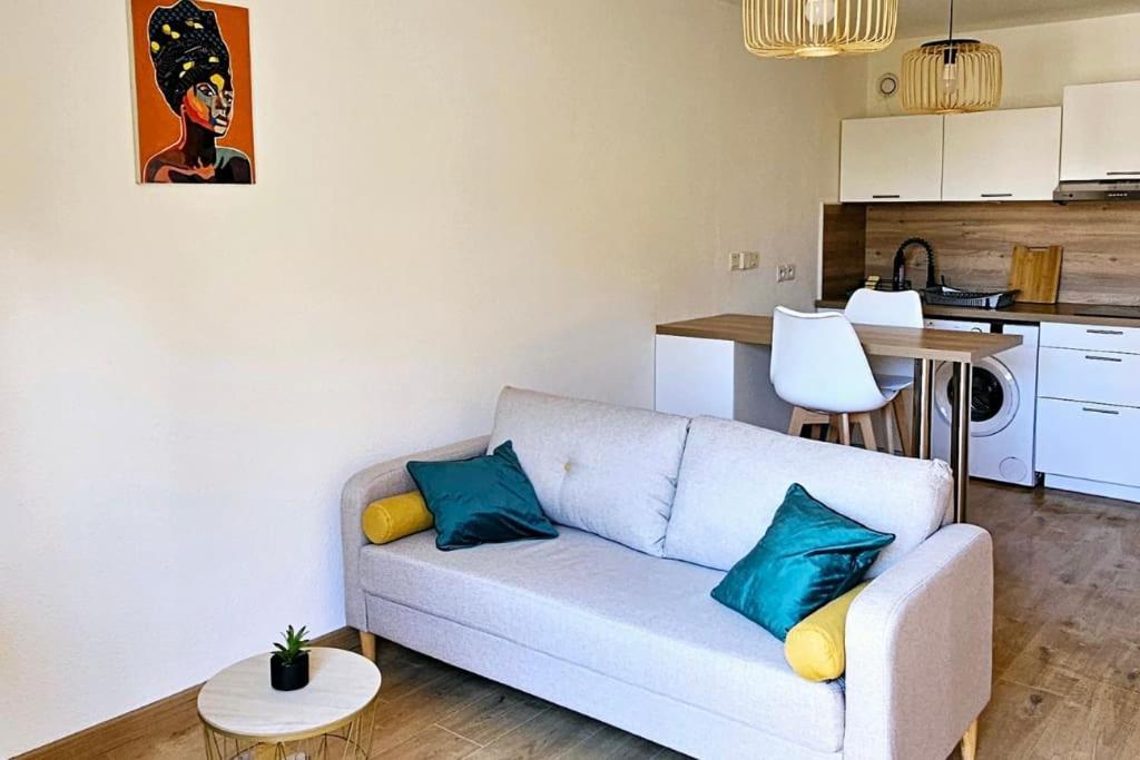 T3 Duplex Thonon Centre - Parking - Gare - Thermes ภายนอก รูปภาพ